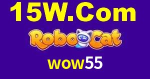 Experiência VIP wow55