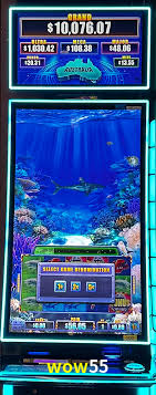 Live Casino wow55